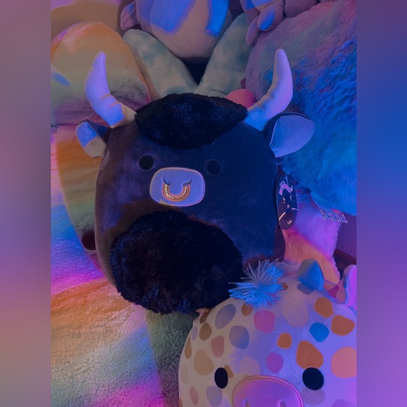 ❗️SOLD❗️𖤐🖤 Squishmallows Lake the Black Bull 𖤐 - Picture 5 of 8